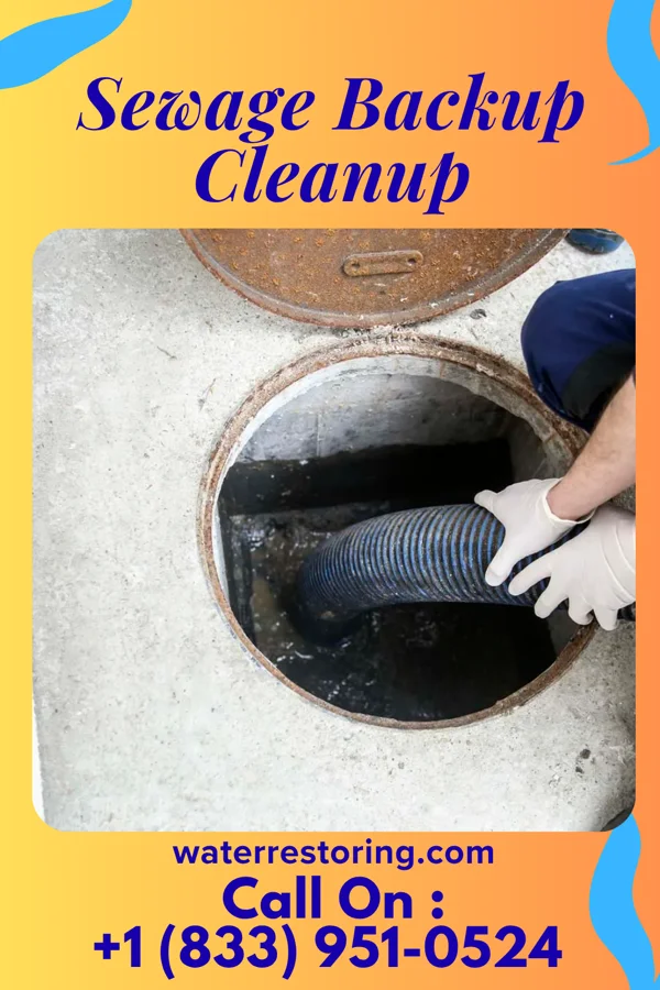 Sewage Backup Cleanup in Central City, NE